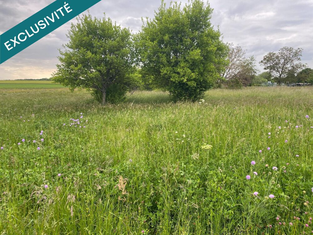 Vente Terrain terrain de loisir orienté nord sud Aillianville
