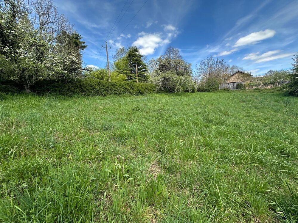Vente Terrain Terrain constructibe Montredon-labessonnie