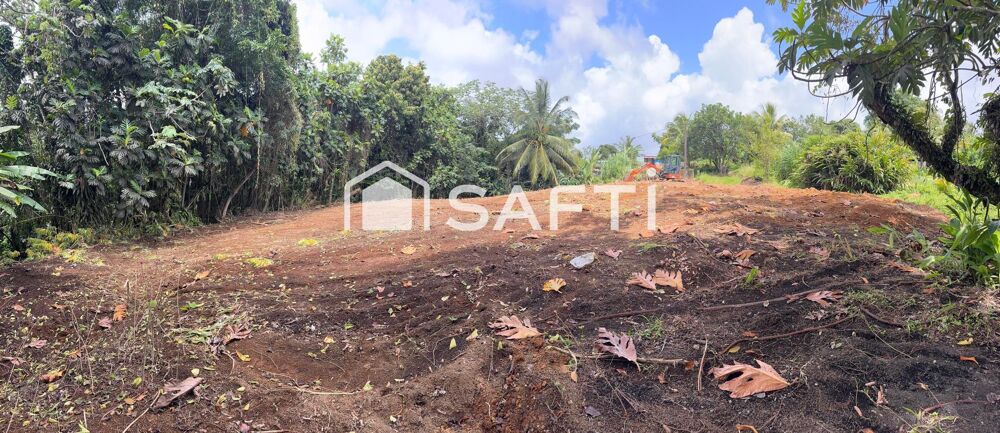 Vente Terrain Terrain plat, viabilisable – 1 346 m² – Gros-Morne – À saisir ! Gros-morne