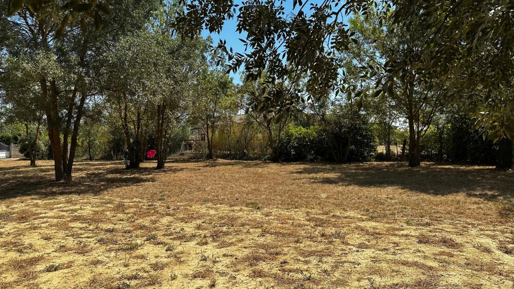 Plain-pied 2024  Villemoustaussou  1 500 m²