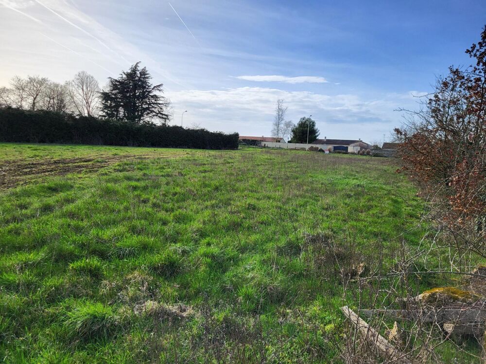 Vente Terrain Terrain constructible à 09 minutes de Poitiers. Cisse