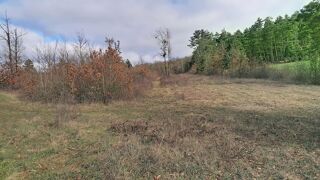  Terrain � vendre 63112 m�