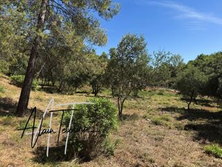  Terrain � vendre 1019 m�