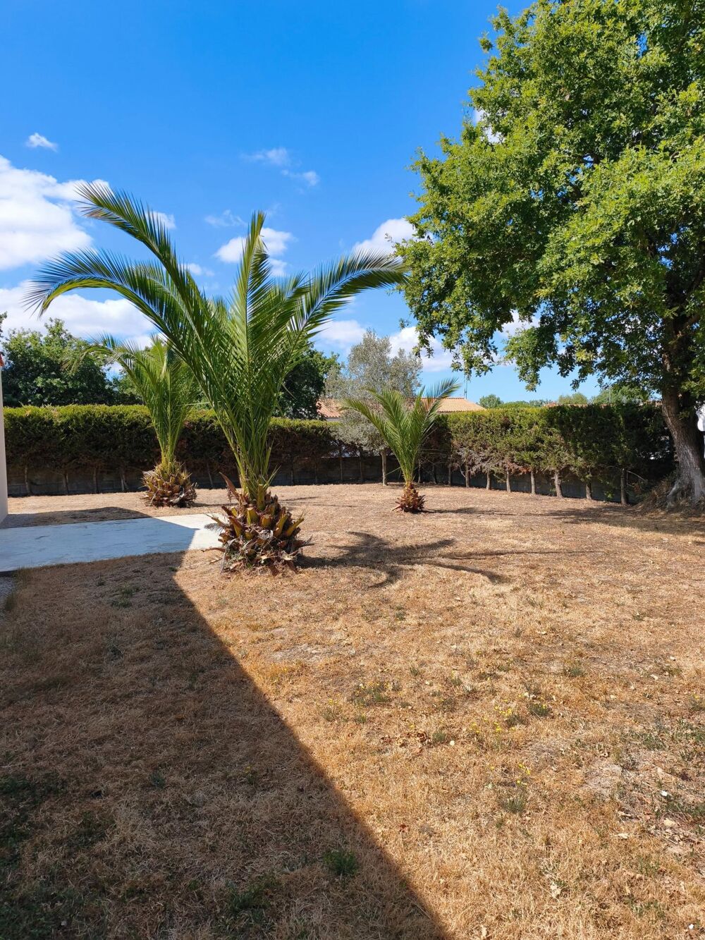 Vente Maison Calme Coex