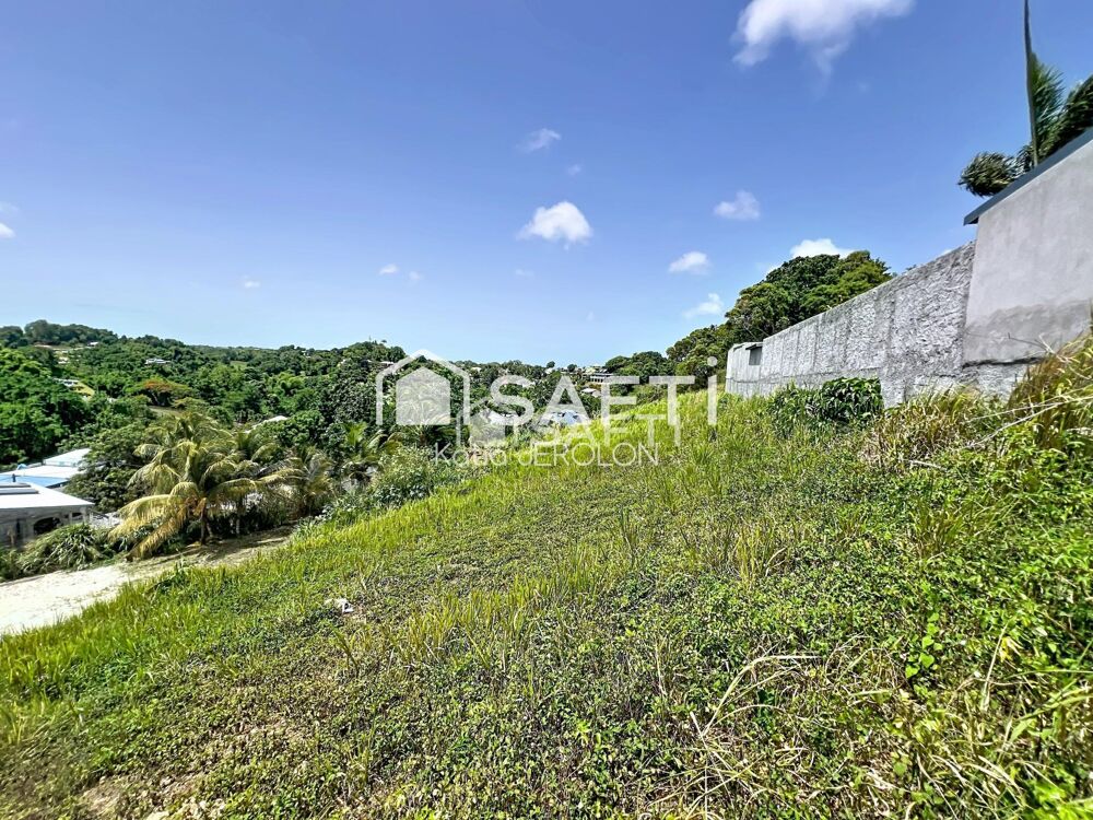 Vente Terrain 2 parcelles à vendre Les abymes