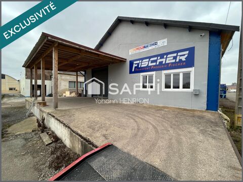 batiment industrielle 299000 55840 Thierville-sur-meuse