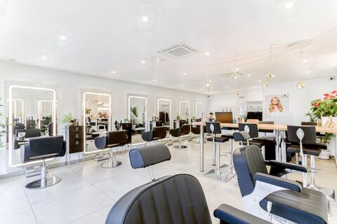   OPPORTUNITÉ RARE – IDÉAL PROFESSIONNEL OU INVESTISSEUR 