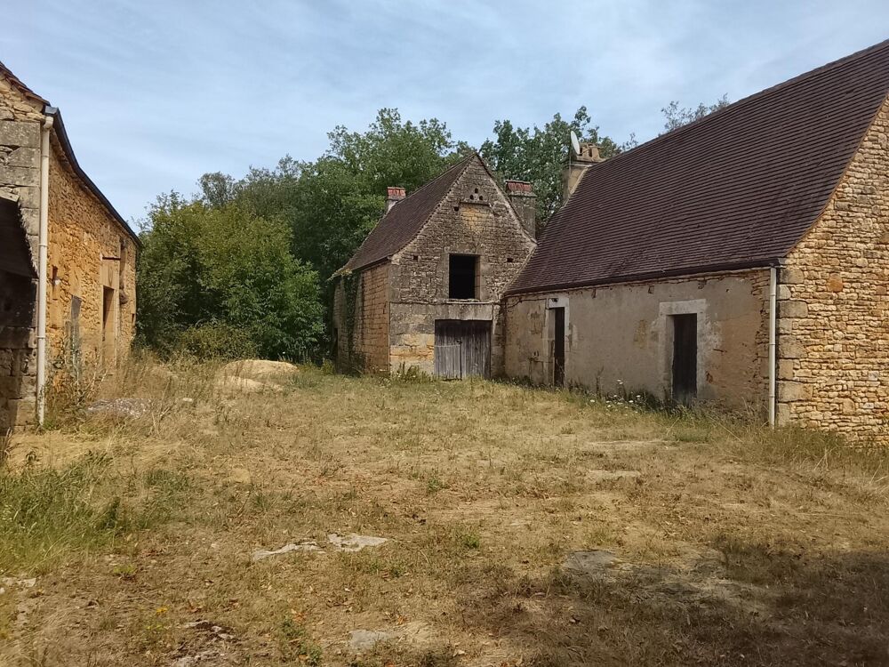 Vente Maison Corps de ferme Vézac Vezac