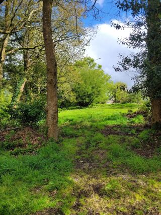  Terrain à vendre 1000 m²