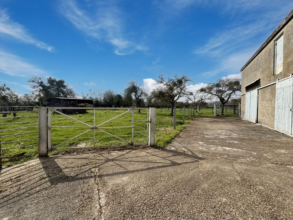 Vente Maison Un cadre idyllique aux portes de Caen – Maison de plain-pied avec fort potentiel - Grande parcelle - Dépendances Argences