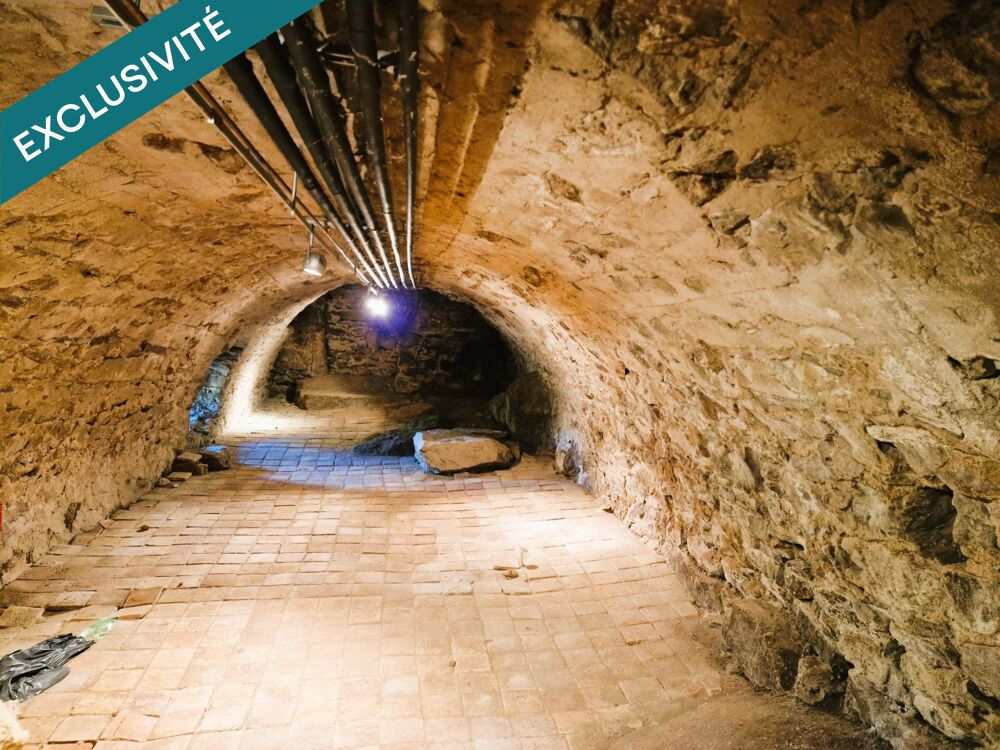 Je vous propose en Exclusivité, cette ferme en pierre du 19e siècle entièrement rénovée, située à 7 minutes à pied du charmant v