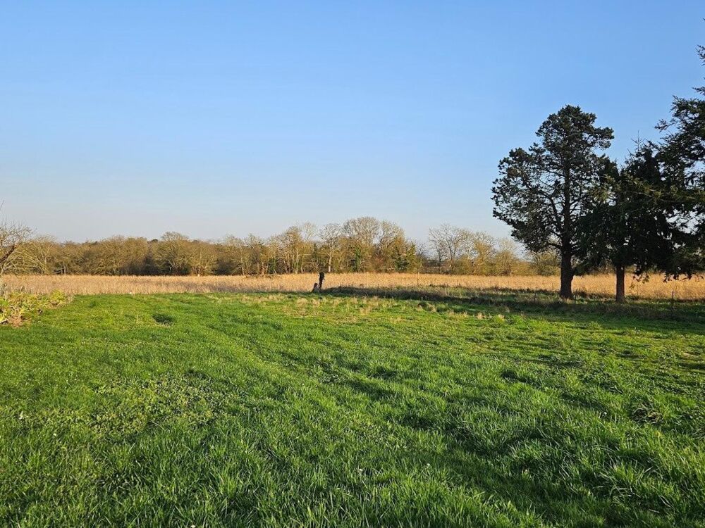 Vente Terrain 1360 m² - Vue 2