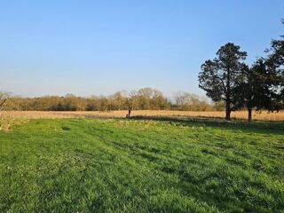 Vente Terrain 1360 m²