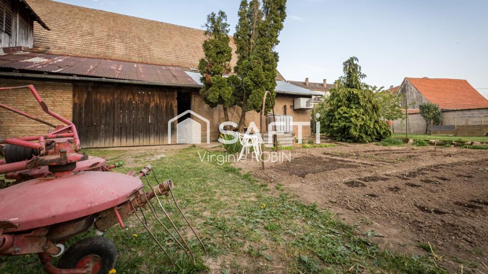Vente Immeuble Propriété réhabilitée proposant de vastes hangars et 3 appartements indépendants Stotzheim