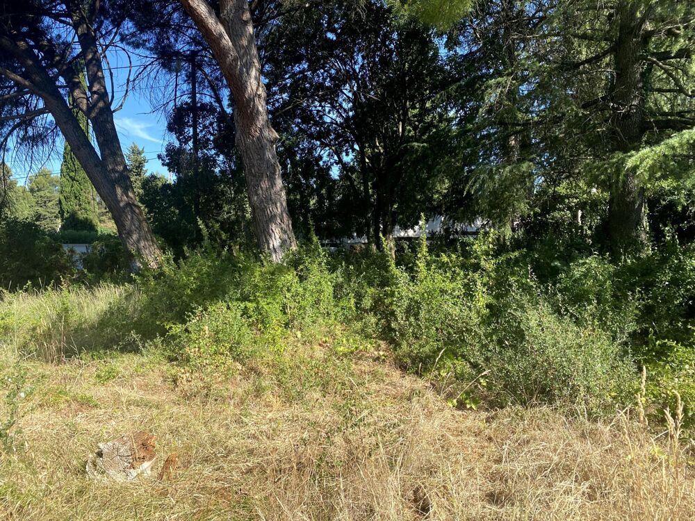 Vente Terrain Terrain 355 m2 Milhaud Milhaud