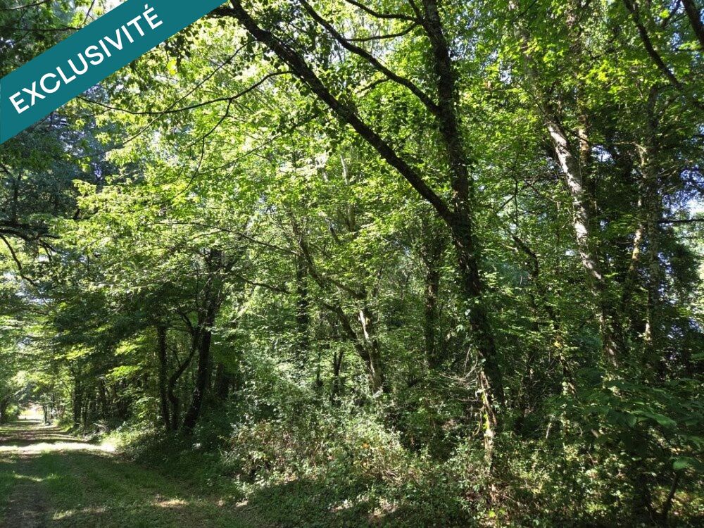 Vente Terrain Belle parcelle de bois à proximité d'un petit village du berry Saint-medard