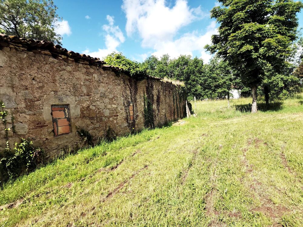 Vente Terrain Terrain fruitier proche du château Roger Villeneuve-sur-lot
