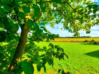  Terrain  vendre 600 m