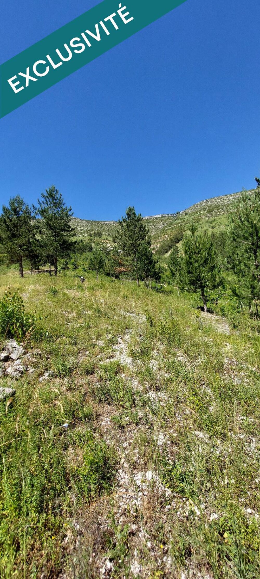 Vente Terrain -A VENDRE- PRADES 48210 St Enimie TERRAIN CONSTRUCTIBLE non viabilisé de 3265m2 108 000€ Gorges du tarn causses
