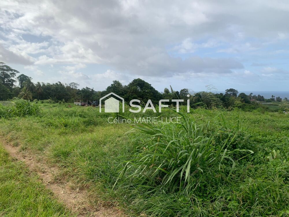 Vente Terrain Parcelle vue mer Basse-pointe