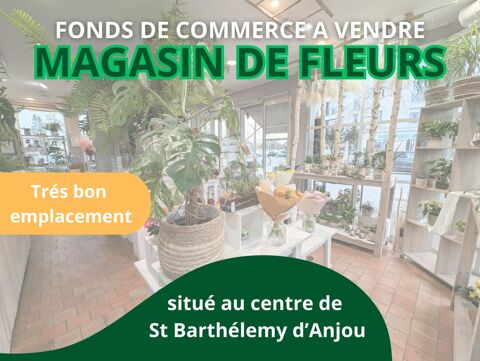 FONDS DE COMMERCE FLEURISTE 66500 49124 Saint-barthelemy-d'anjou