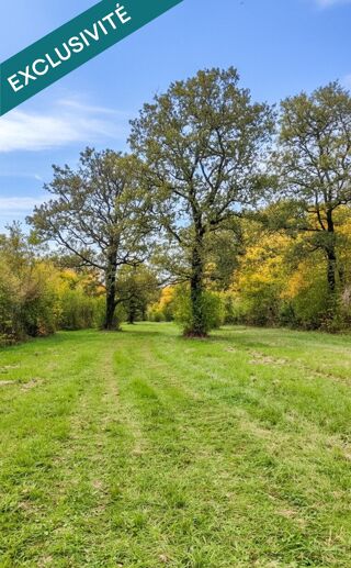  Terrain à vendre 520000 m²