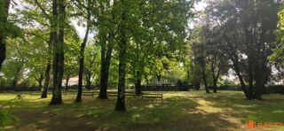  Terrain � vendre 6000 m� Meschers-sur-gironde