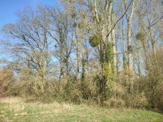  Terrain � vendre 5805 m�