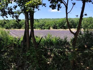  Maison � vendre 4 pi�ces 115 m�