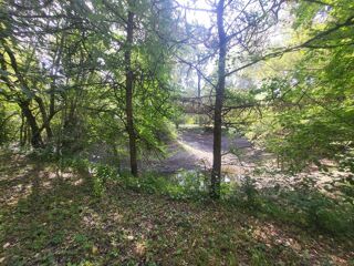  Terrain à vendre 12500 m²
