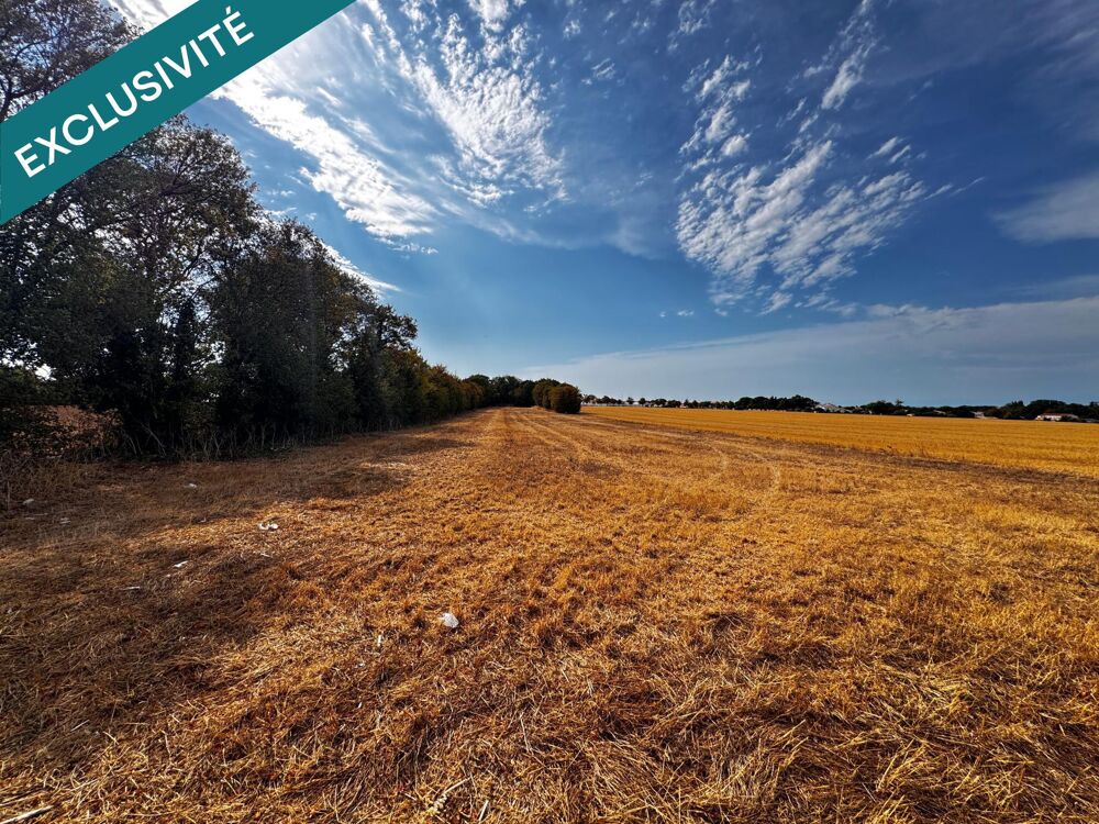 Vente Terrain Magnifique terrain agricole Nieul-sur-mer