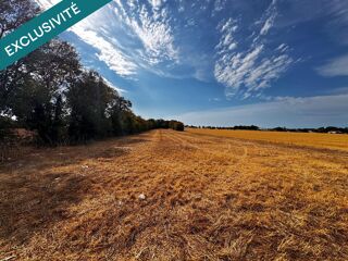  Terrain à vendre 7040 m²
