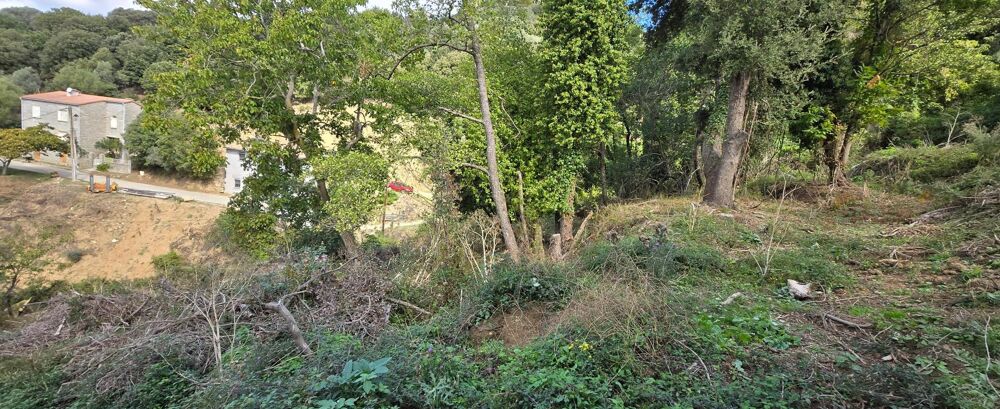 Vente Terrain A SAISIR TERRAIN CONSTRUCTIBLE - OLMICCIA Olmiccia
