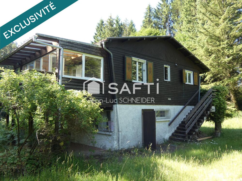 Vente Maison Chalet avec un grand terrain et un étang Bitche