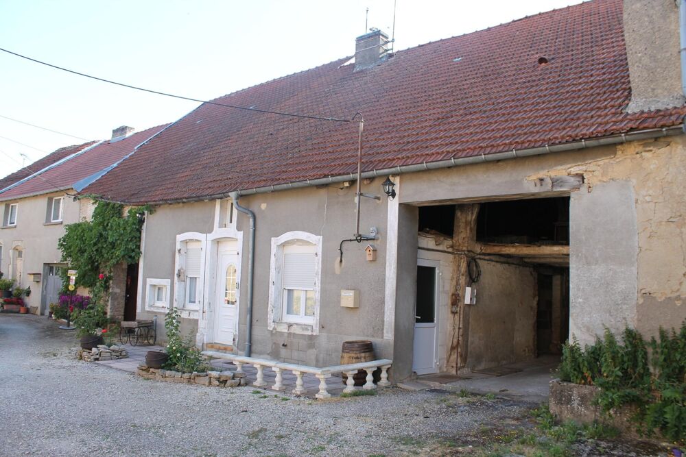 Vente Maison maison rénovée, à la campagne avec deux chambres,garages et jardin Aillianville