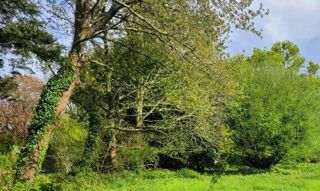  Terrain à vendre 1000 m²