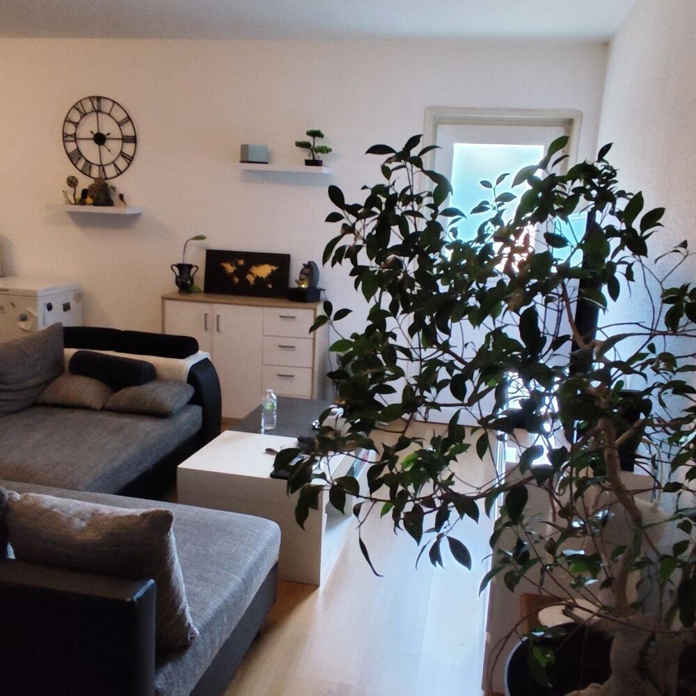 Vente Appartement Situé à Mulhouse, dans une petite copropriété, appartement T2 de 54.35 m², vendu loué, proche des axes routiers, proches des com Mulhouse