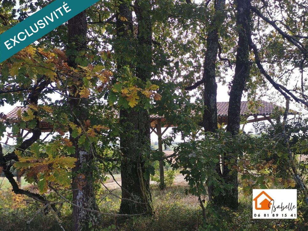 Vente Terrain Terrain Agricole d'un seul tenant de 143283 m² avec Hangar, eau, électricité. Exposition SUD avec vue sur les Pyrénées Demu