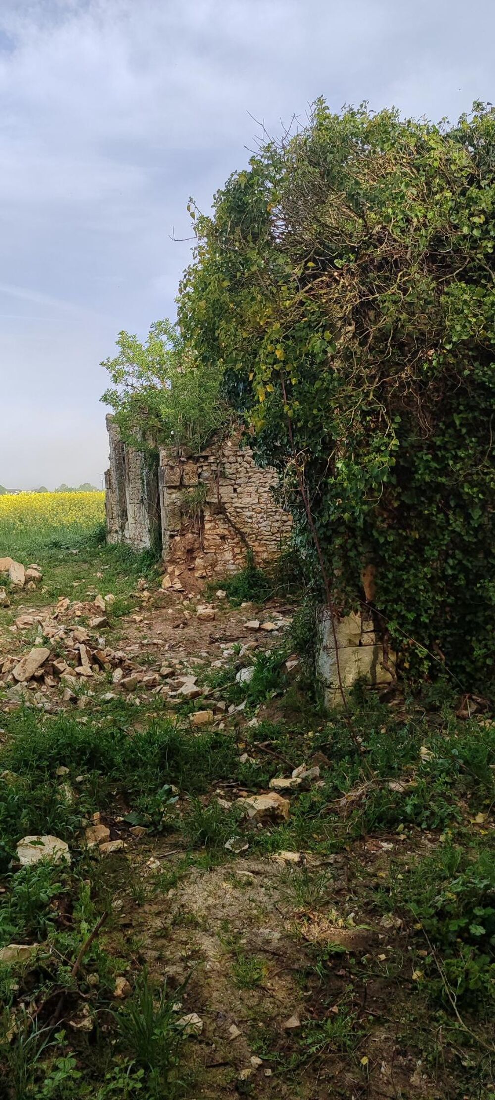 Vente Terrain Très joli terrain avec ruine existant permettant de reconstruire une maison en lieu et place. Vezieres