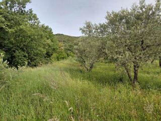  Terrain à vendre 2038 m²