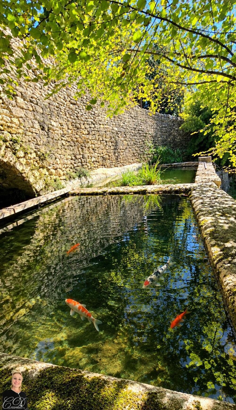 Vente Maison Vue sur la tour du château de Sommières Sommieres