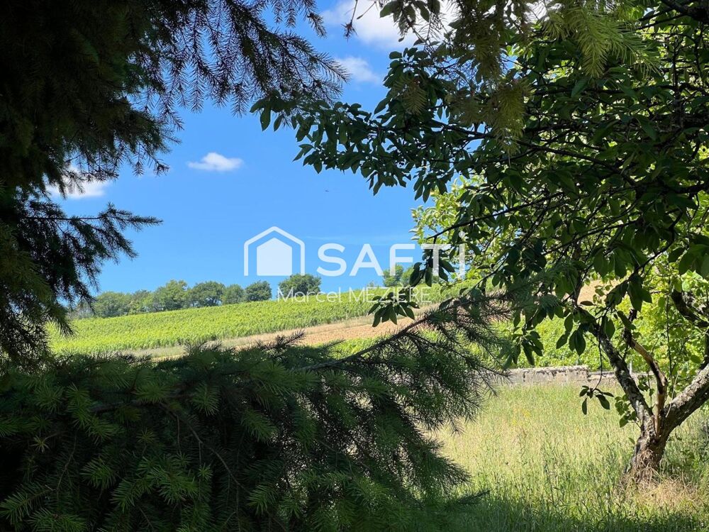 Très jolie propriété dans un vignoble mondialement connu