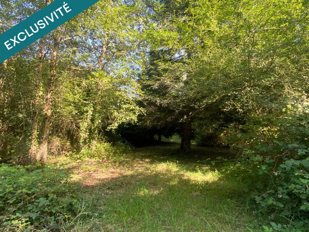 Vente Terrain Terrain agricole et de loisirs de 5 180 m² – à proximité de Langon Langon