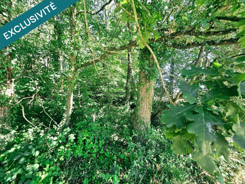 Vente Terrain 8,93 hectares de nature préservée avec ruisseau . Barenton