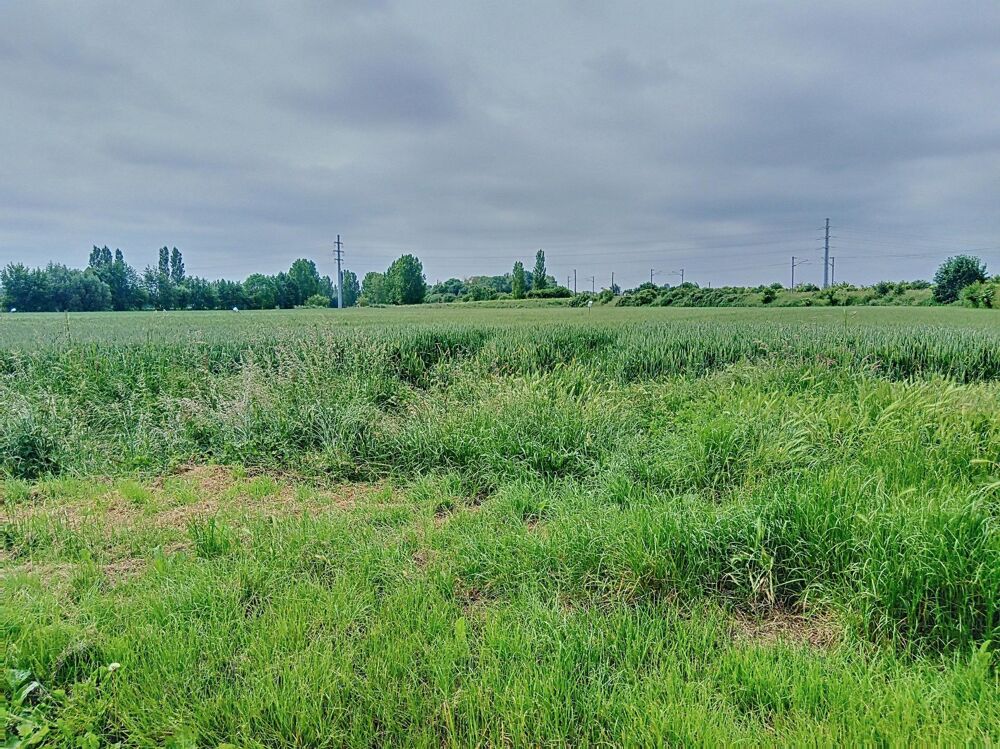 Vente Terrain Terrain à bâtir en campagne, sur le triangle Aire-sur-la-Lys, Saint-Venant, Thiennes Aire-sur-la-lys