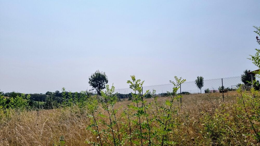 Vente Terrain Terrain constructible Augnax