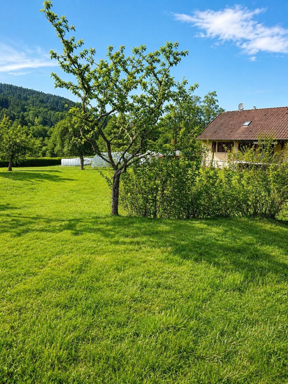 Vente Terrain Terrain à bâtir secteur calme Granges-aumontzey