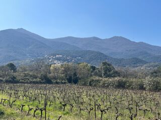  Terrain � vendre 5000 m�