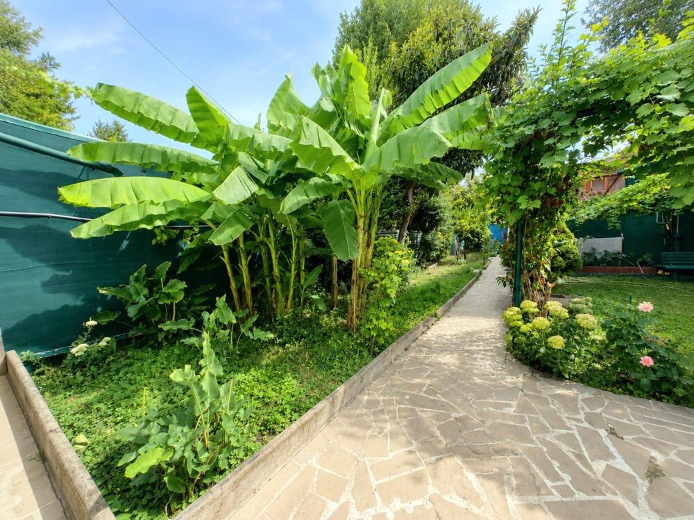 Vente Maison Belle maison à vendre sur Alfortville à 8  minutes de la Gare RER D  Vert de Maison Alfortville