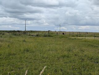  Terrain à vendre 962 m²